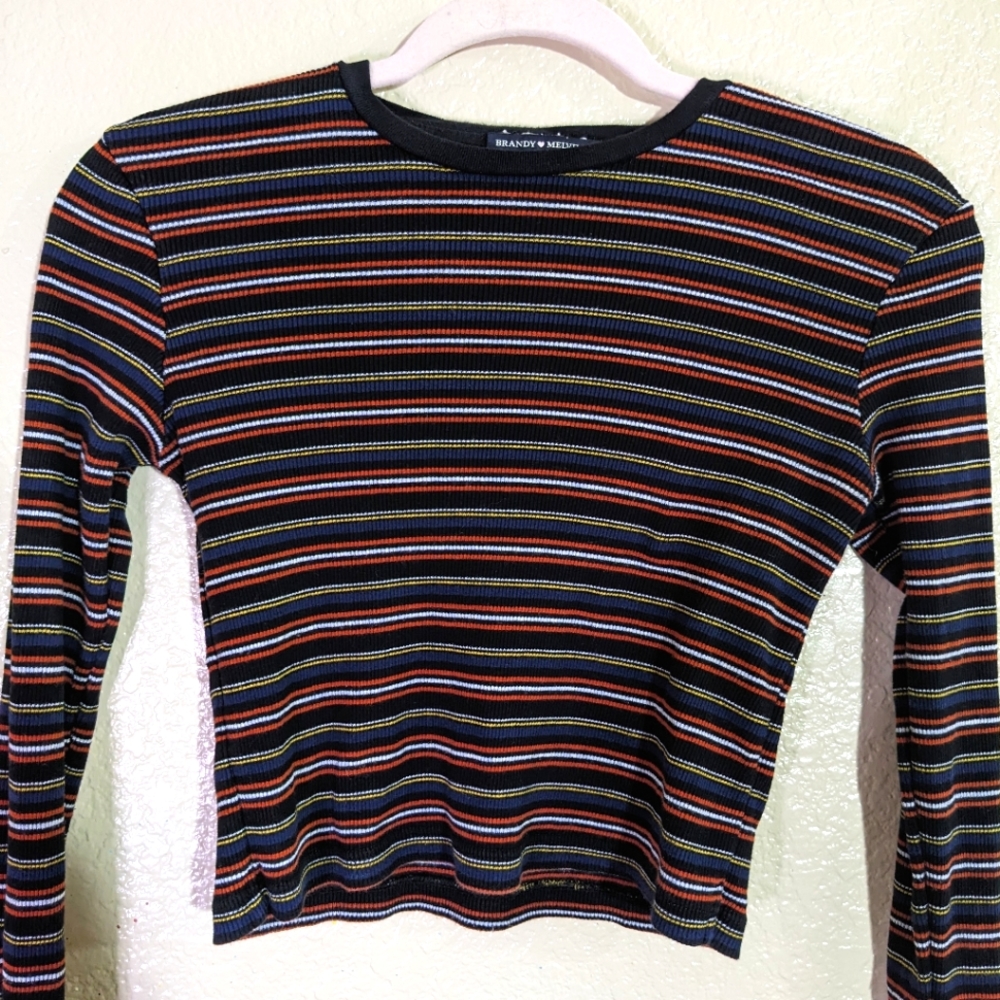 Brandy Melville Long Sleeve Striped Crop Top